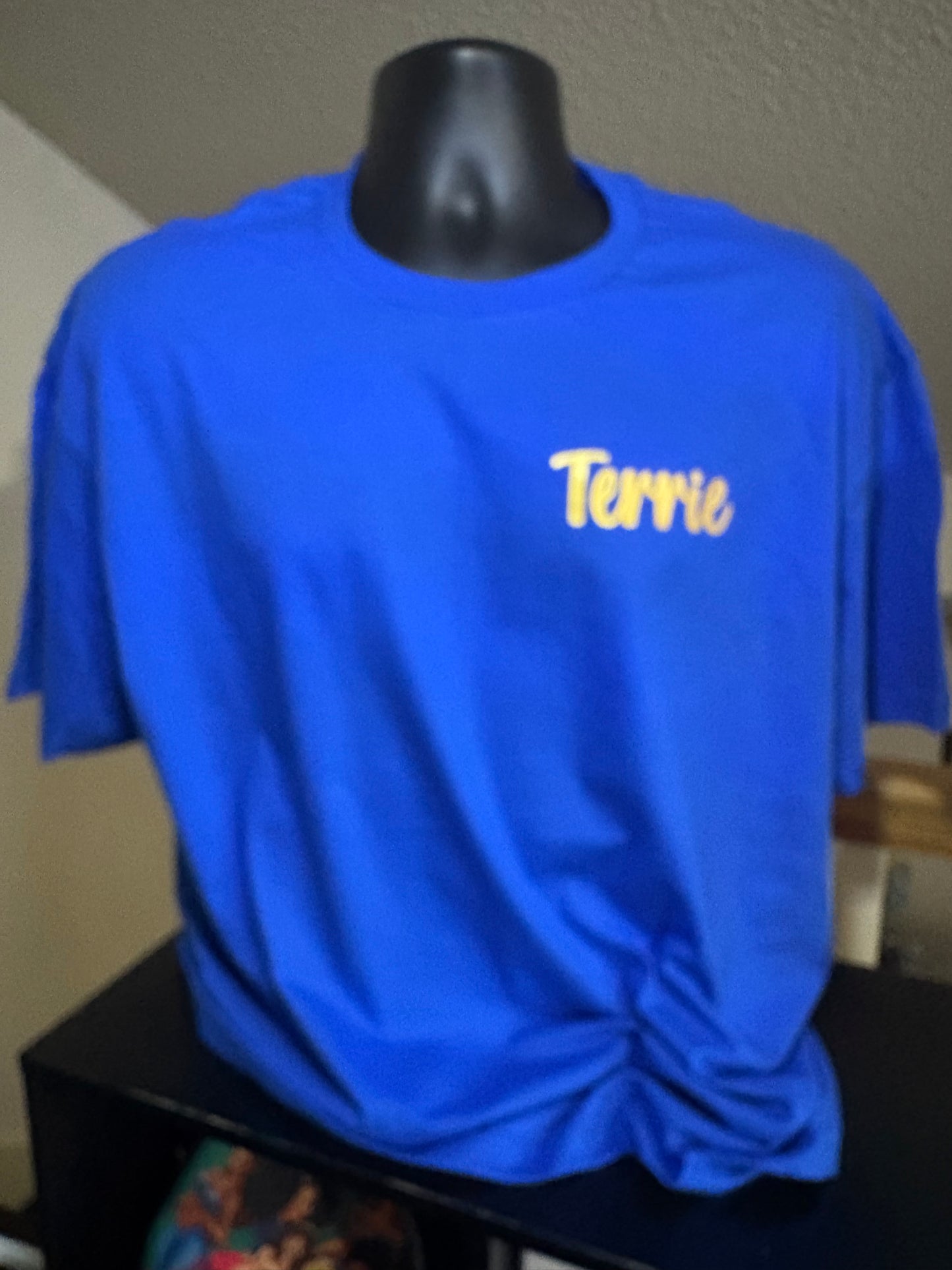 ADULT HTV T-SHIRT